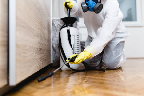 Best Wildlife Control Services  in Temple Terrace, FL