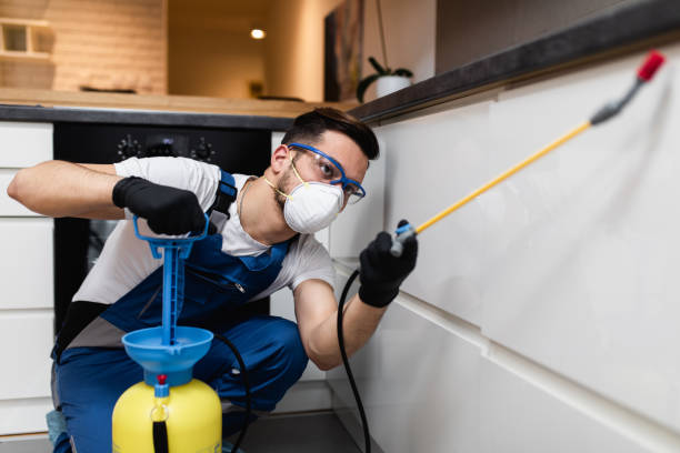 Best Termite Control Services  in Temple Terrace, FL