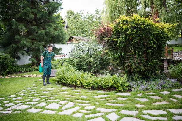 Best Pest Control Near Me  in Temple Terrace, FL