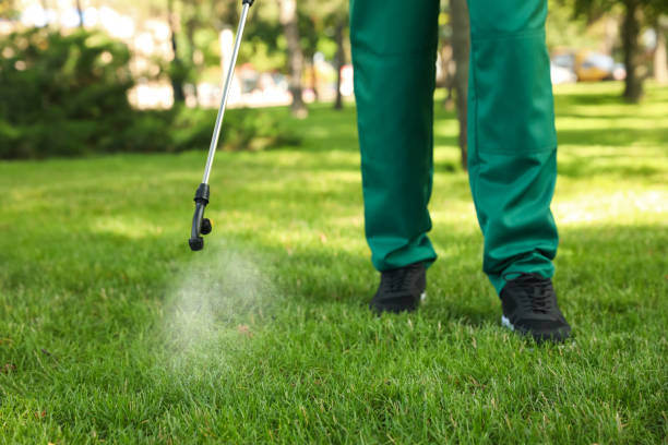 Best Termite Control Services  in Temple Terrace, FL
