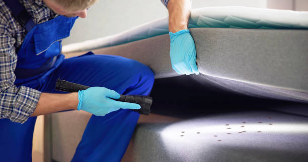Best Pest Prevention Services  in Temple Terrace, FL