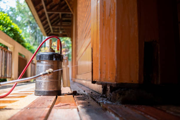 Best Pest Removal Services  in Temple Terrace, FL