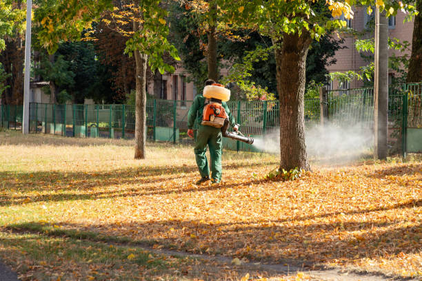 Best Flea Control Services  in Temple Terrace, FL