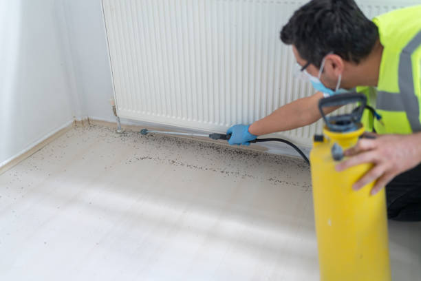 Professional Pest Control in Temple Terrace, FL
