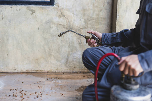 Best Commercial Pest Control Services  in Temple Terrace, FL