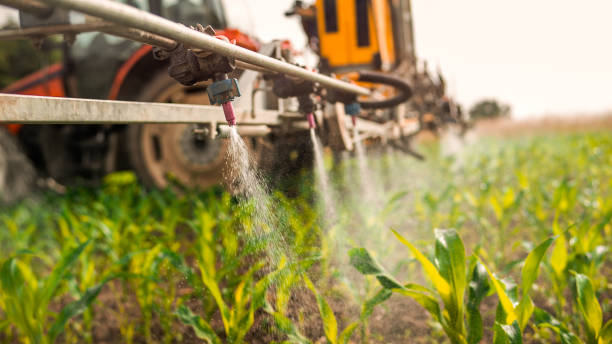 Best Commercial Pest Control Services  in Temple Terrace, FL